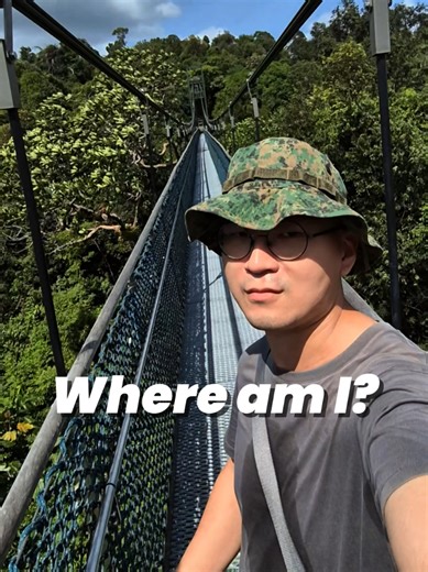 Where am I? A bridge with greenery around me. you'll guess it. its treetop walk. Probably haven't visited this place long enough, I forgotten how it was like. Losing myself in nature. That's what I love. #singapore #solohike #hiking #treetopwalk #nature