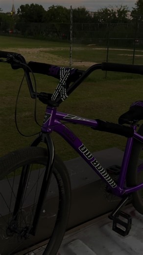 Mafia Sebike Clean Wheelies — Sebike Wheelie Cleaning Tips