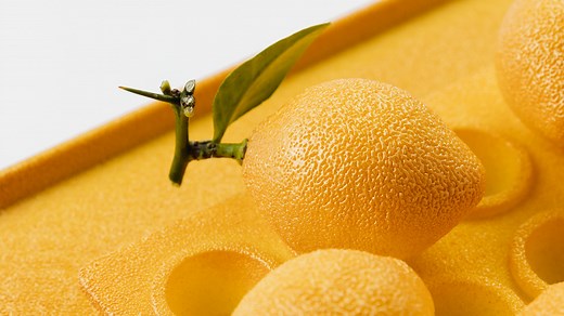 Cédric Grolet x Online PastryClass