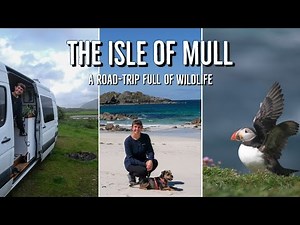 Isle of Mull by Campervan | The best wildlife, camp spots and things to do | VanLife Scotland