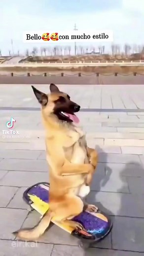 7.4K views · 140 reactions | Central TV Perú on Reels | Facebook