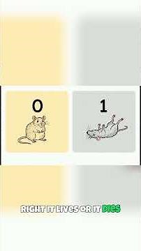 Crack the Poisoned Wine Riddle with Binary Code and Rats! #BinaryCode #BrainTeasers #Riddles