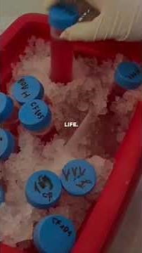 Technique de Salting Out #UMBB