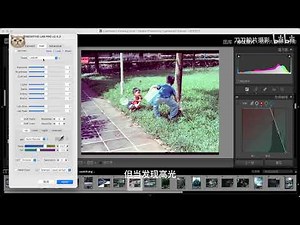 【刀刀胶片摄影】lr去色罩插件nlp的最佳使用方式 Negative Lab Pro lightroom