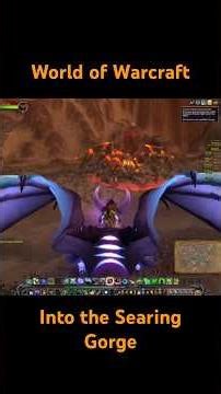 I find a rare giant lava spider!
