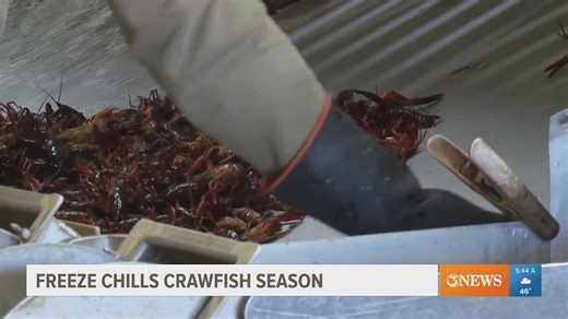 Freeze chills crawfish season
