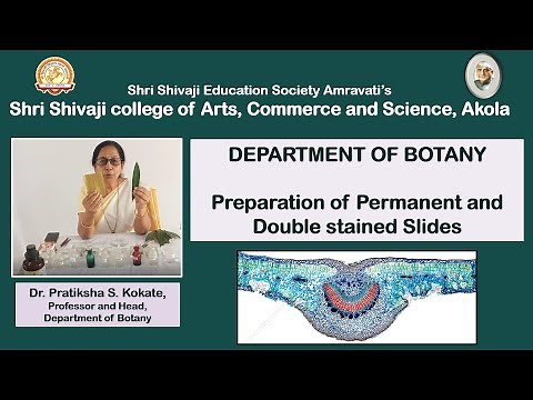 Preparation of Permanent and Double stained slide of Nerium leaf- Angiosperm Anatomy B.Sc. Sem III