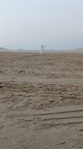 falcon come lure#shortvideo #hunting #eagleattack#eagle