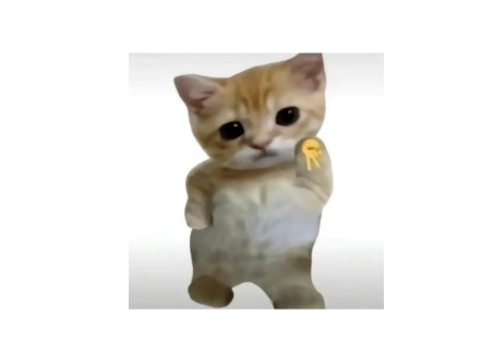 WakeUp课程表使用指南｜从此告别混乱课表和作业难题