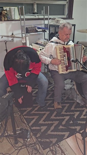 Blondie - I'm Gonna Love You Too (Cajon/Accordion Cover)
