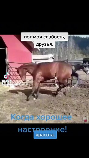 Lutefisk Recipe: Taste of Norwegian Tradition