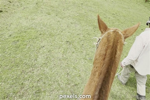 Best Mapawg+riding+creampie Videos