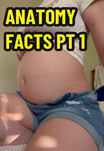 Understanding Pregnancy Bloating and Food Baby Facts