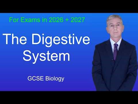 GCSE Biology Revision "The Digestive System"