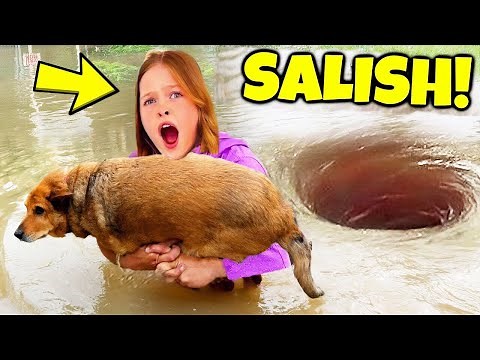 7 YouTubers Who SAVED ANIMALS LIVES! (Salish Matter, Jordan & Nidal)