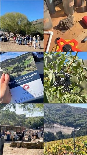 Open House at Jalama Canyon Ranch #santabarbara #regenerativeagriculture #farmlife