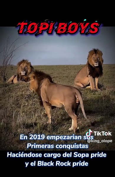 Los Topi Boys: Historia de una Coalición Legendaria