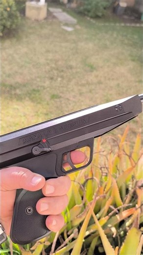 Diana LP8 Magnum 4K #shortsviral #airgunshooter #pelletguns