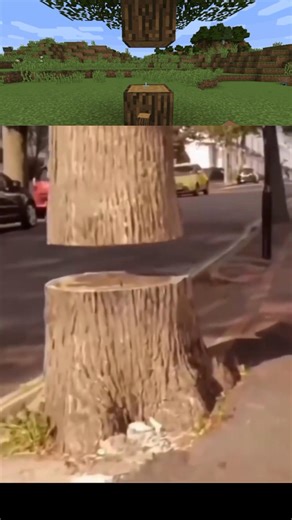 Who left this tree 😭
