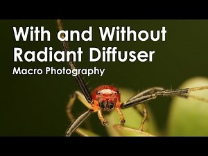 Macro Photography, With and Without Radiant Diffuser