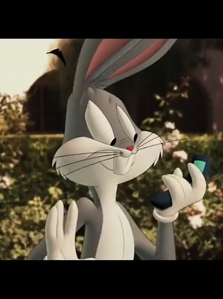 1 Second of Every @Warner Bros. Animation Shows with Movies and Half hour Special #1sec #1second #1secvideo #1secondvideo #warnerbrosanimation40thanniversary