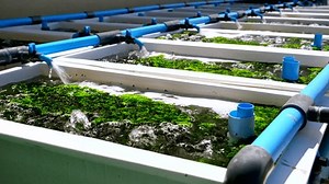 Sea Water Blue Pvc Pipes Flowing Stock Footage Video (100% Royalty-free) 3491465457 | Shutterstock