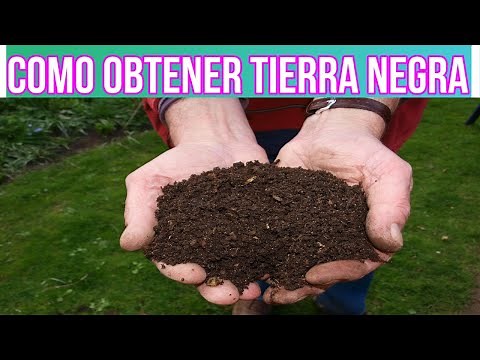 HOW TO OBTAIN BLACK SOIL EASILY AND QUICKLY, BLACK SOIL ORGANIC FERTILIZER