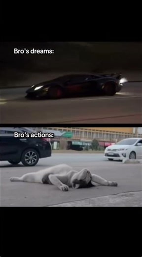 Bro's dreams Vs Bro's actions: #bmw #success #lamborghini #motivation #funny