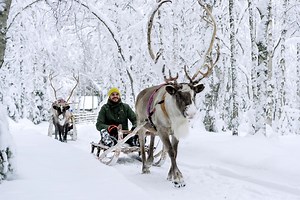 10 Exhilarating Ways to Experience the Lapland Landscape You Can Only Do in Winter
