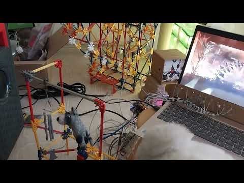 RT Adventure Retail Display (dry run test)