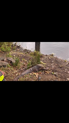 Today the Friday Adventurers visited Clophill Lakes Nature Reserve. The rain didn’t put them off and they started the fun with a game of Pooh sticks, guessing whose stick would be carried by the current the quickest! They used their field guides and binoculars to spot everything from birds to animal poo! They found a sheltered spot by the lake to relax and draw some pastel landscape pictures before lunch, then after refueling they used fine motor stills and critical thinking to build a raft for 