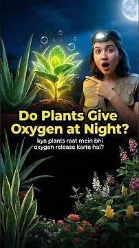 Do plants really release oxygen at night? 🌿 #trending #science #facts