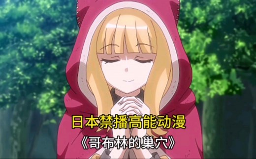 推荐日本禁播高能动漫《哥布林的巢穴，精彩程度满天星。（一）