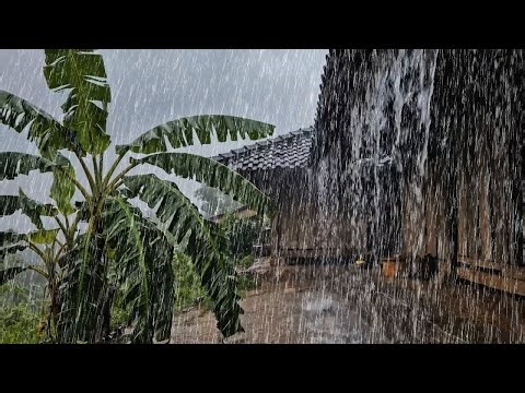 Fall asleep quickly to the sound of heavy rain 🌙 • Forget anxiety and relieve stress • Relaxation