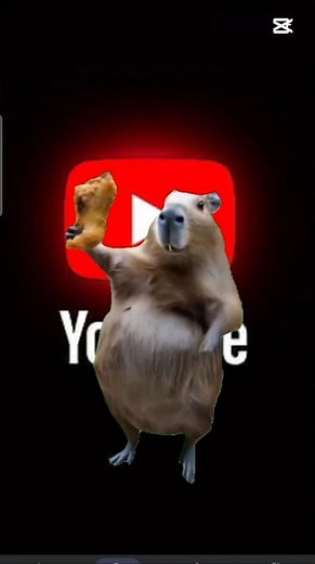 the funny rat video........ 🤣😆 #funnyvideo #funny #fun...... #edit