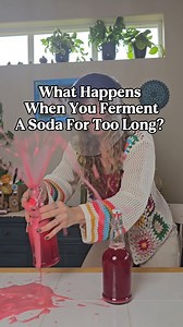 6.1K views · 149 reactions | The ginger bug sodas this round taste...