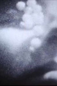 The Flamethrowers - Movie