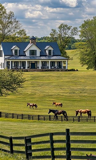 Peaceful views, grazing horses, and timeless farmhouse charm. | Farmhouse Life