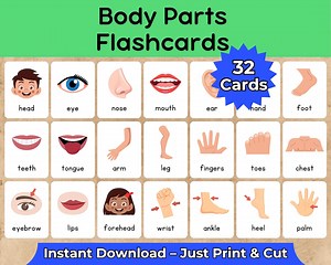 Body Parts Flashcards for Kids – 32 Cards | Learn Human Body Vocabulary | Preschool, Kindergarten, ESL, Homeschool | Printable PDF - Etsy
