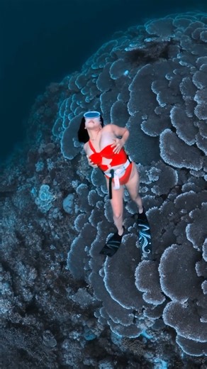 Red against blue, she dives silently deeper #freediving #mermaid #freediver