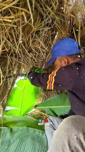 24 hours tree house challenge #minivlog