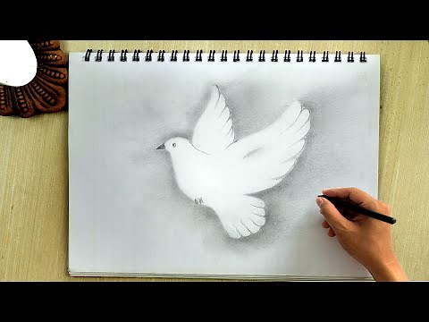 How to Draw a Flying Bird .🕊 Dove Bird Drawing Tutorial