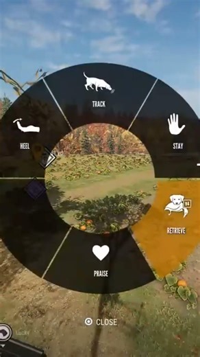 Cotw Rabbit With The Iron Sights #gaming #cotwgameplay #jjdstreams #huntinggame