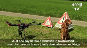 2.1K views · 18 reactions | Mountain rescue teams demonstrate how they're using drones alongside traditional rescue dogs. The REDOG organization is cooperating with the Swiss Federation of Civil Drones, using the machines to expand the area they can search from the sky, while still making full use of dogs' noses on the ground. (via AFP.com) | PetFinder.my | Facebook