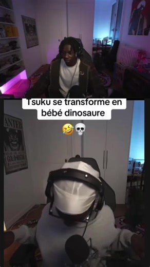 Bébé Dinosaure et Transformers en Stream sur Twitch