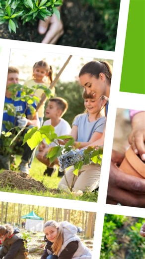Nestlé aims to plant and grow 10 million trees in Australia, in partnership with One Tree Planted and Greening Australia. | Nestlé