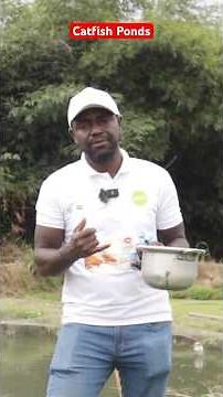 How To Treat Catfish Ponds Before Stocking with Fishes