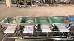 [Hot Item] Size Sorting Machine for Red Dates Fruit Sorting Grading Machine