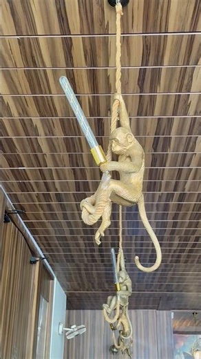 Hanging monkey#comedyshorts #trendingshorts #minivlogs