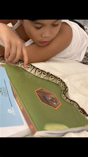 My sons Ball Python. Di ko naimage na maging ganere anak ko.. hahaha. #animallover #animals #reptiles #snake #ballphyton | Jeaneth Faja Cabrales